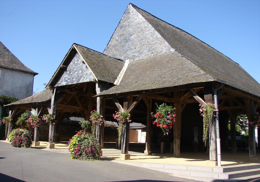 Le Relais De La Caleche Saint-Denis-dʼAnjou Exterior foto